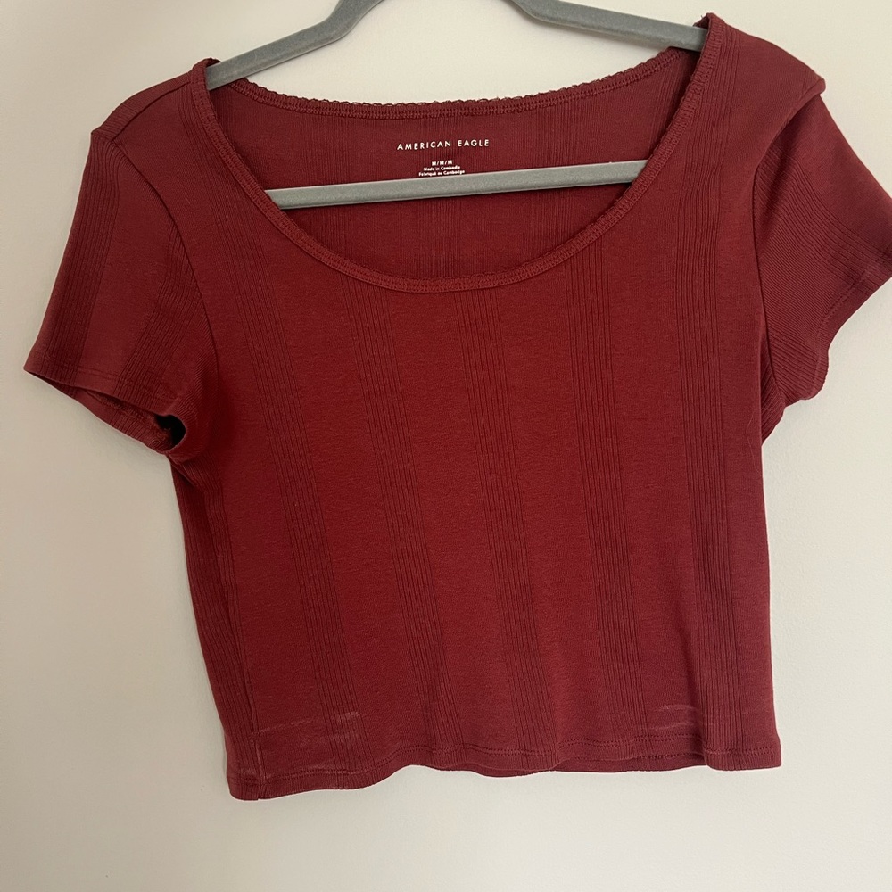 American Eagle Fall Crop Top